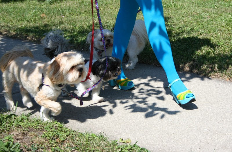 Everyday Fluevogs | November 2, 2011