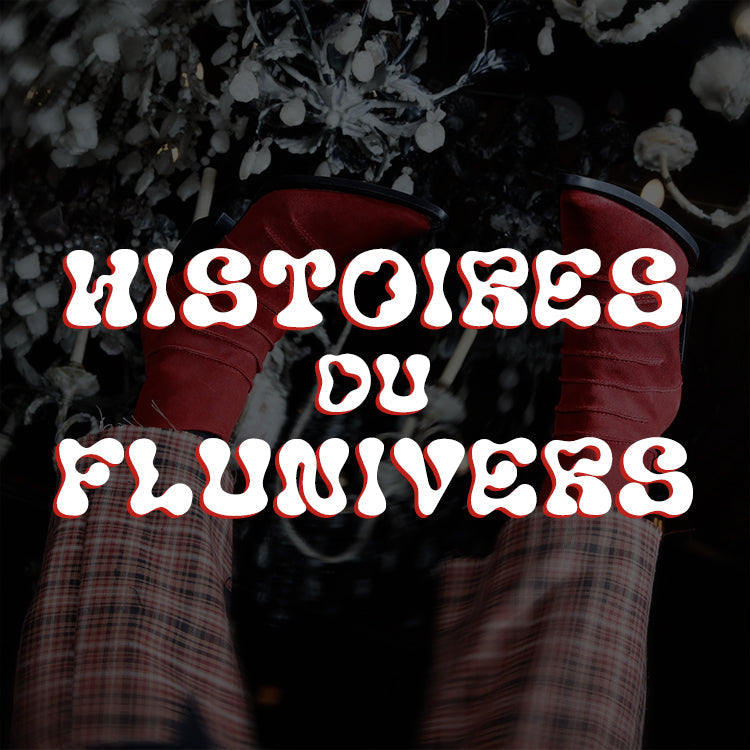 Histoires du Flunivers par Jill