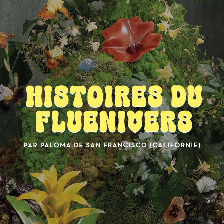 Histoires du Fluenivers par Paloma de San Francisco (Californie)