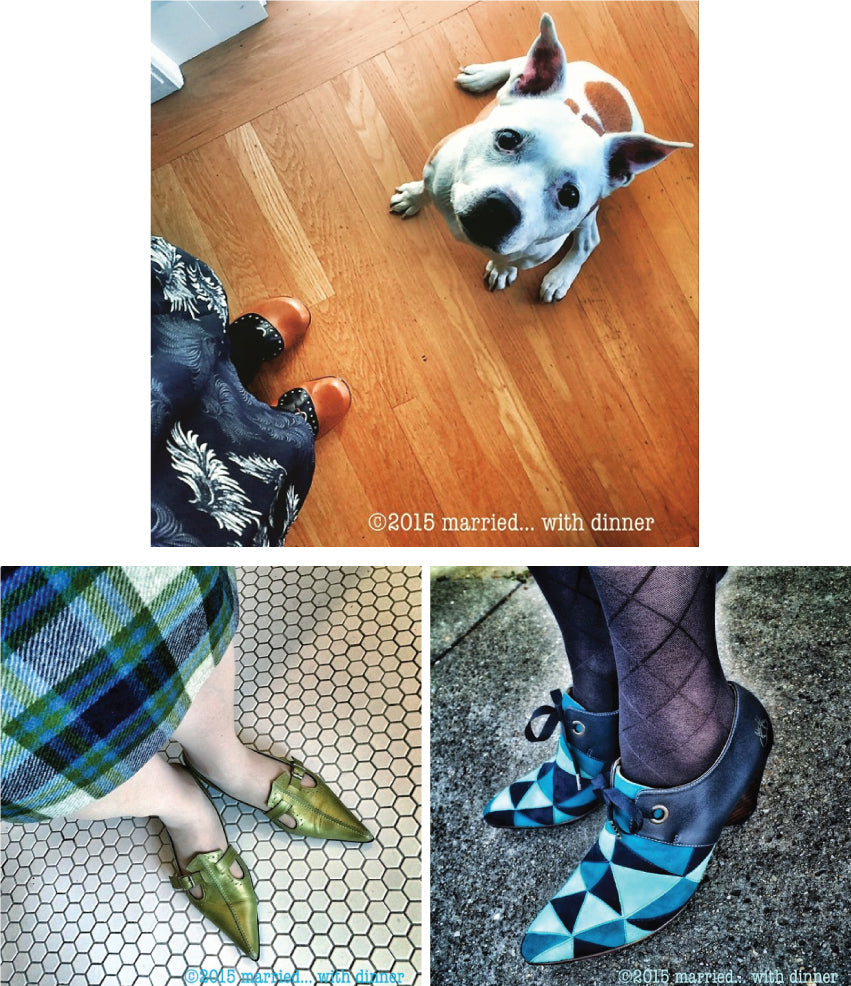 Do you like dogs!? And 'Vogs?!
