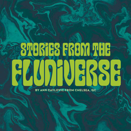Stories from the Fluniverse by Ann Cavlovic from Chelsea, QC