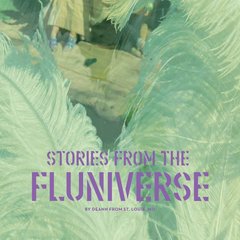 Histoirs du Flunivers : par Deann de St. Louis, MO