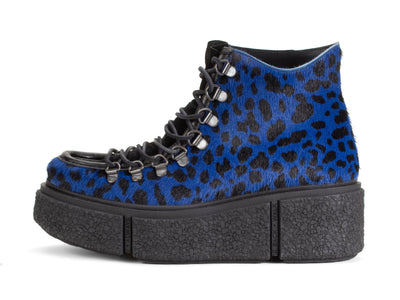 Hooke - Blue Cheetah