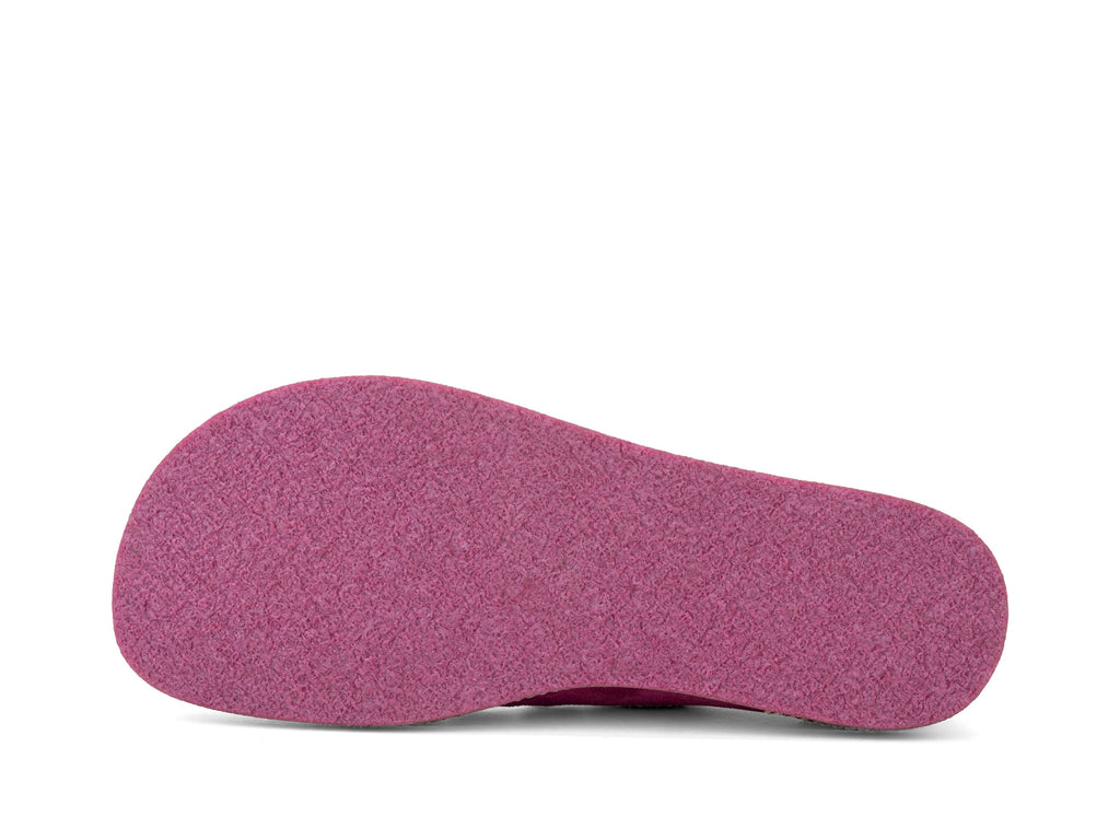 raspberry - Sole View