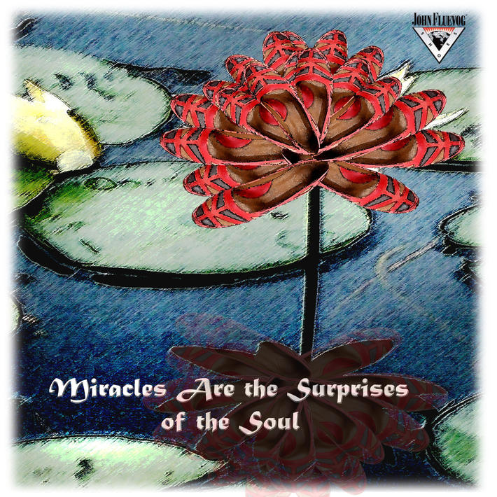 Lotus Meera grows on the water