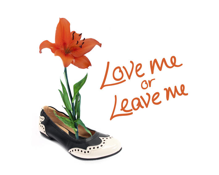 Love me or Leave me