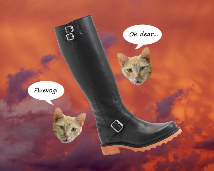 Cat Boot