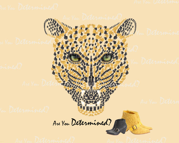 1643 Determined Shoes
