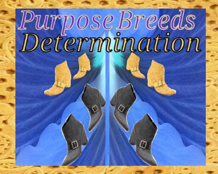 Purpose Breeds Determination