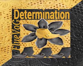 Flowering Determination