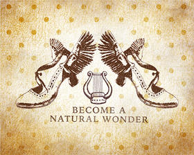 Winged Wonder