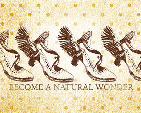 Winged Wonder 2