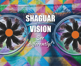 Shaguarvision! Clearly the best!