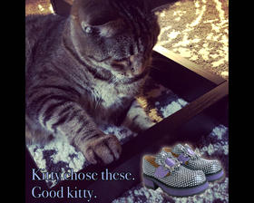 Good kitty.