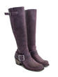 Luna Violet Tall buckled boot