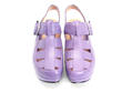 Portage Lilas