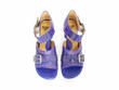 Renée Blue Open-Toe Sandals: Front