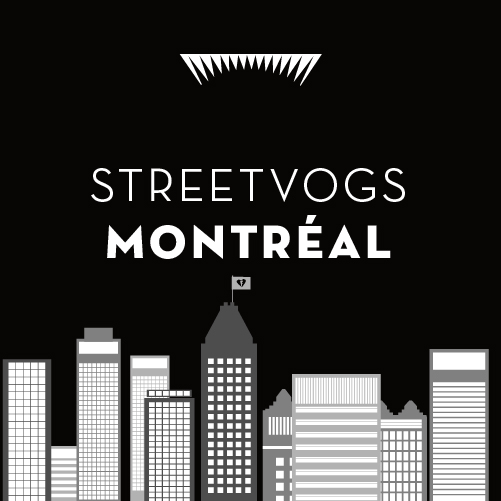 Streetvogs in Montréal