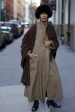 Advanced Style