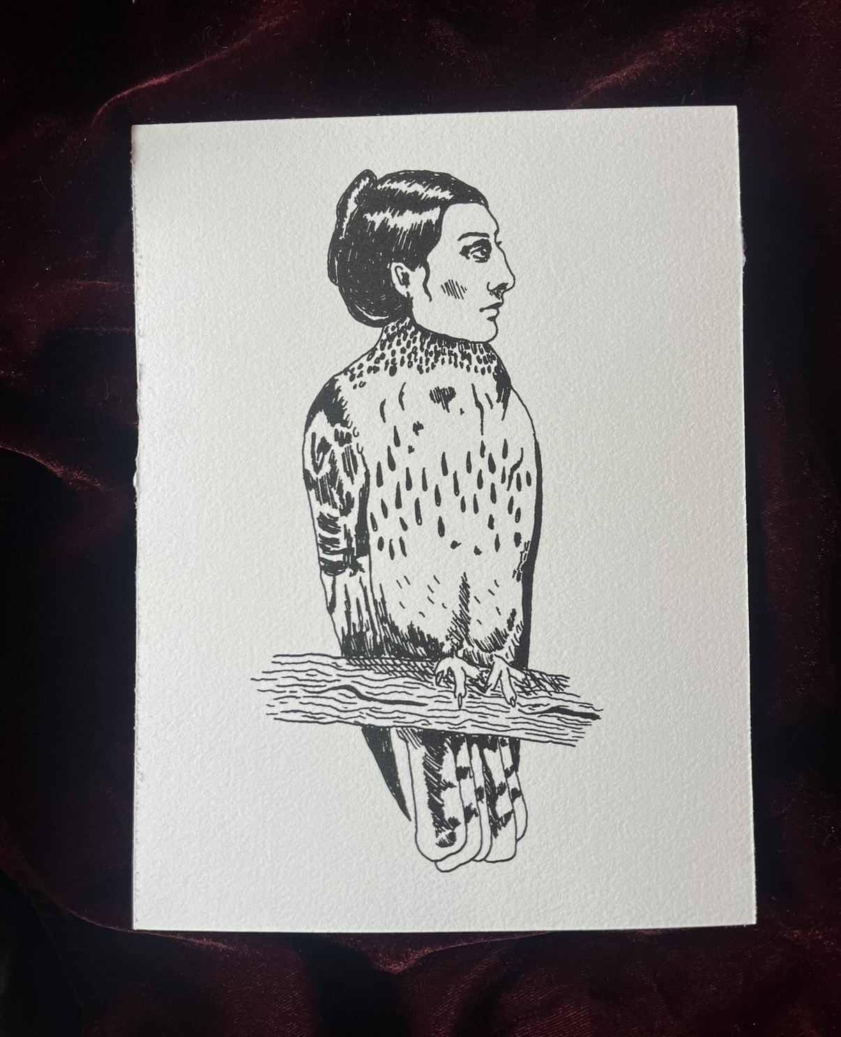 A fountain pen drawing of a bird with a human head.